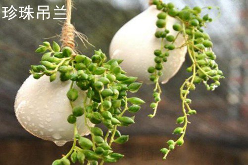 奥巴镜头1442日韩精品一本二本三本的区别，天然美容的秘密，让你肌肤焕然一新